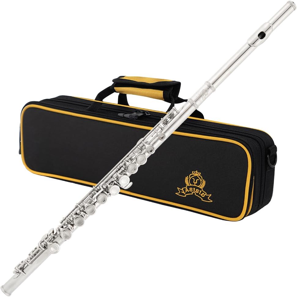Closed Hole C Flute 16 Keys Instrument for Student Beginners with Cleaning Kit, Stand, Carrying Case, Gloves and Tuning Rod